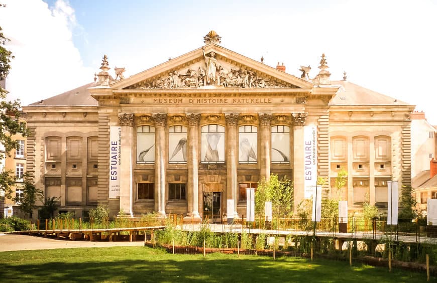 Place Muséum d'Histoire Naturelle