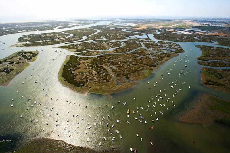 Lugar Ria Formosa