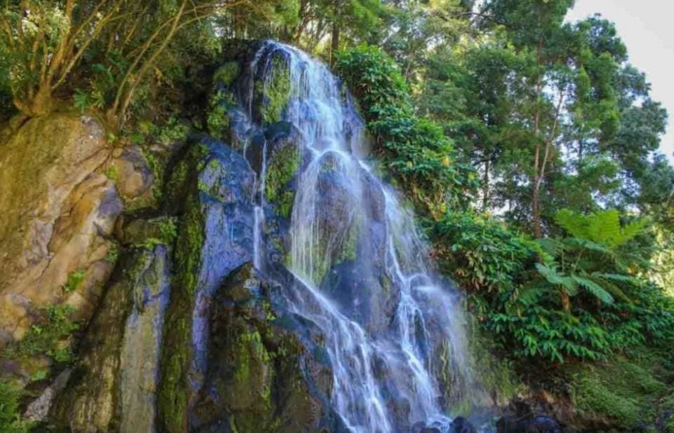 Place Parque Natural da Ribeira dos Caldeirões