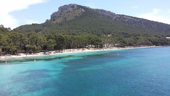 Fashion Formentor Playa - TripAdvisor