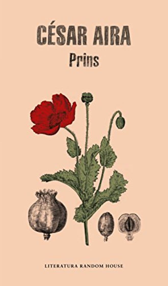 Libro Prins