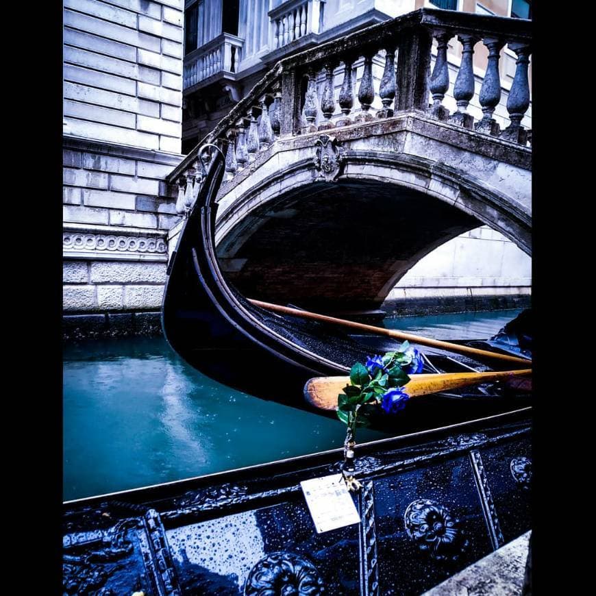 Place Gran Canal de Venecia