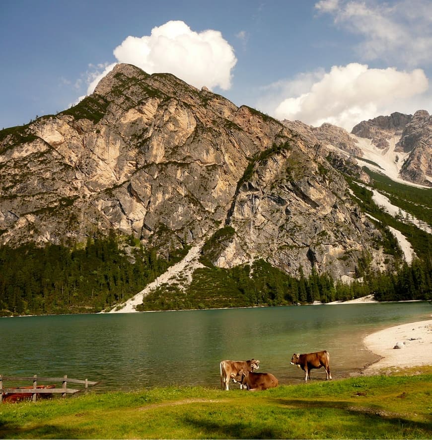 Moda Braies - Wikipedia, la enciclopedia libre