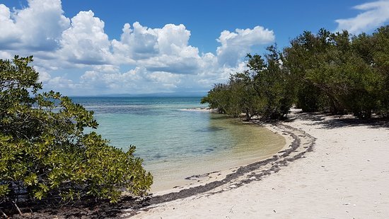 Place Cayo Iguana