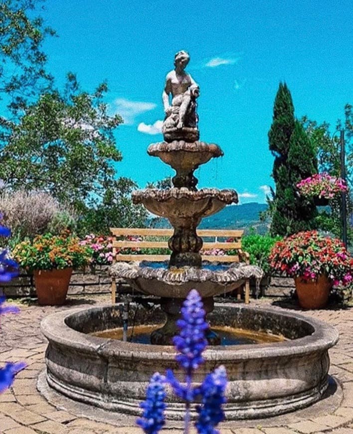 Place Le Jardin Parque de Lavanda - Gramado