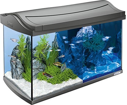 Place Tetra Acuario Tetra AquaArt LED 60L Set completo 60 L