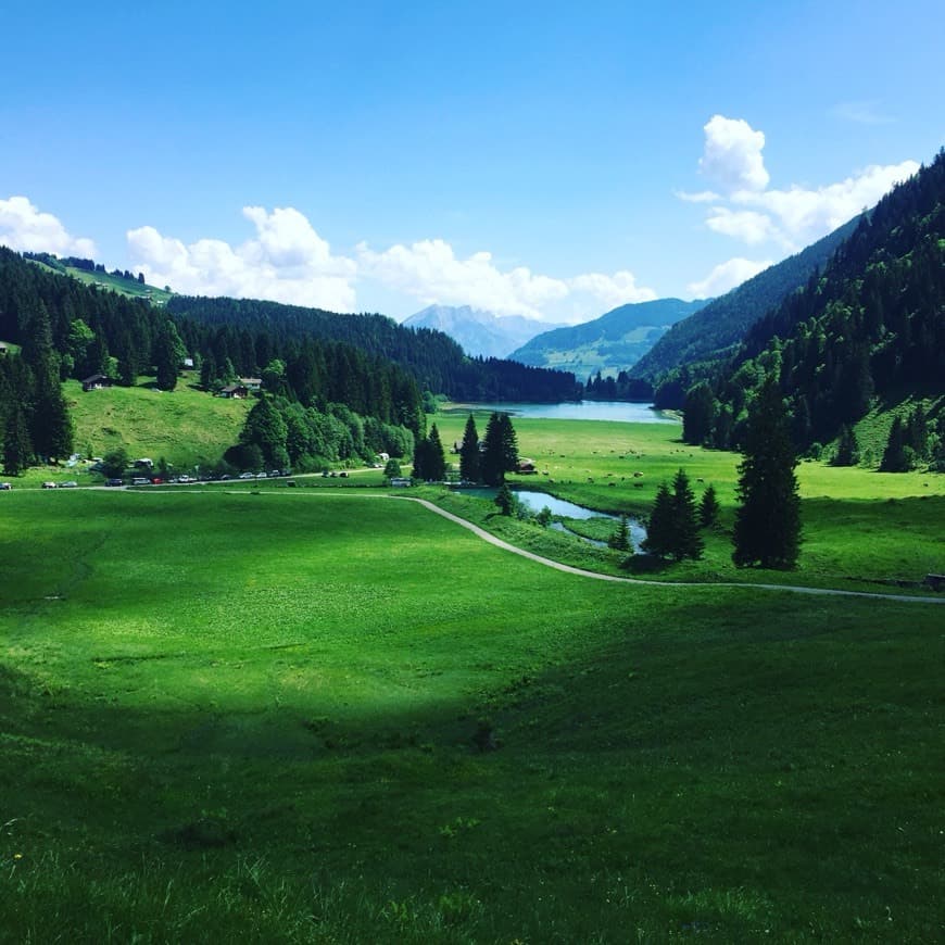 Lugar Obersee