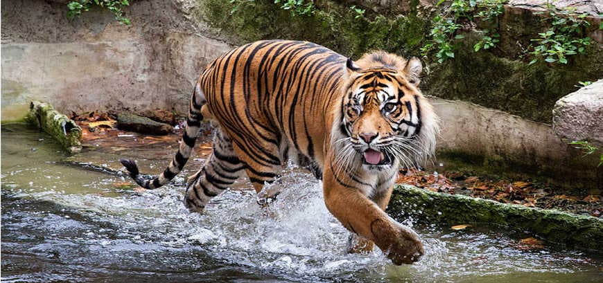 Lugar Zoo Barcelona