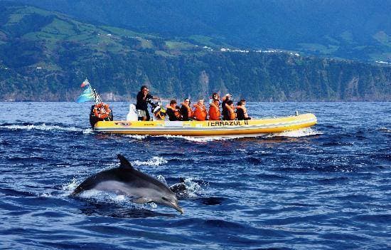 Place Azores Whale Watching TERRA AZUL™