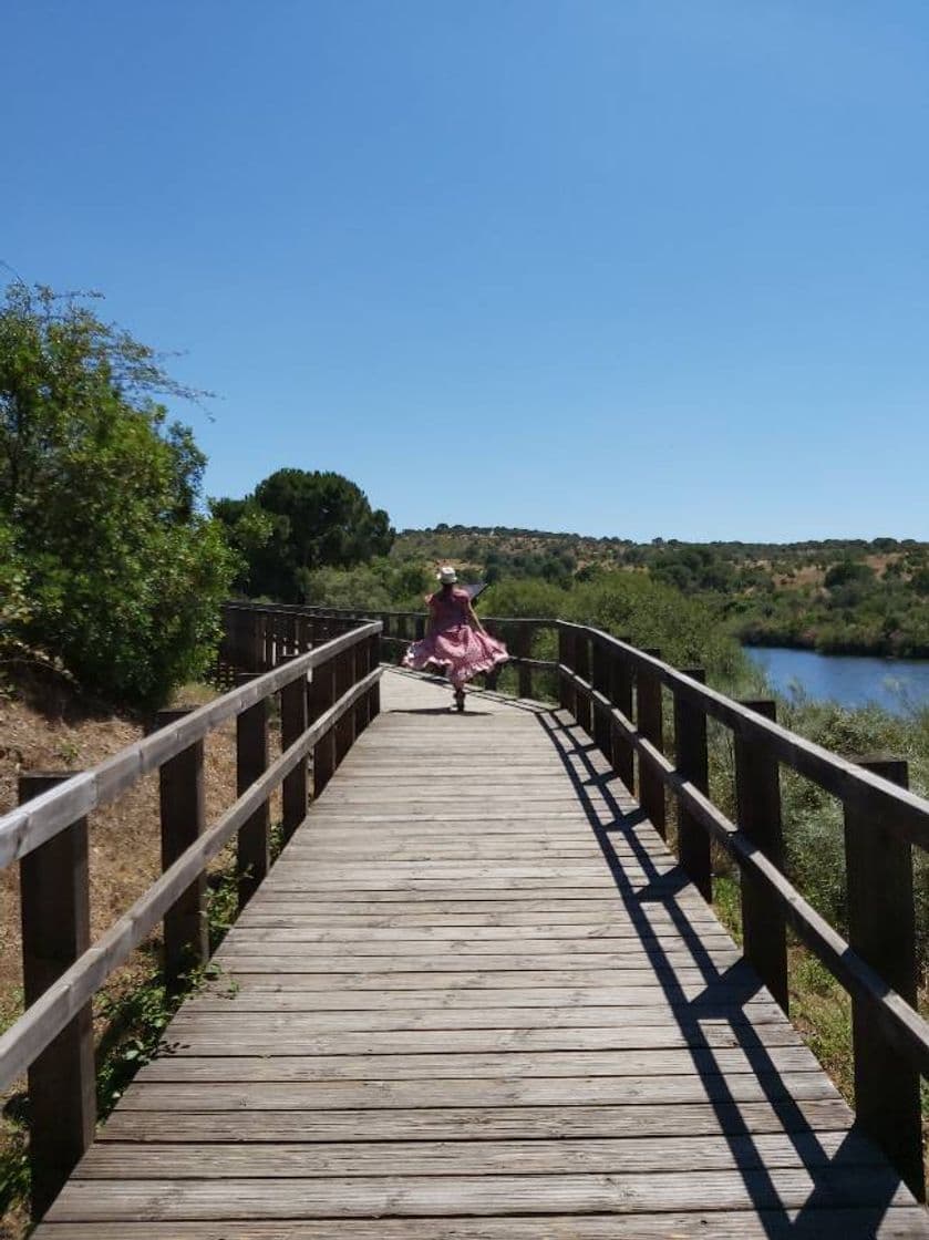 Lugar Parque Ecológico do Gameiro