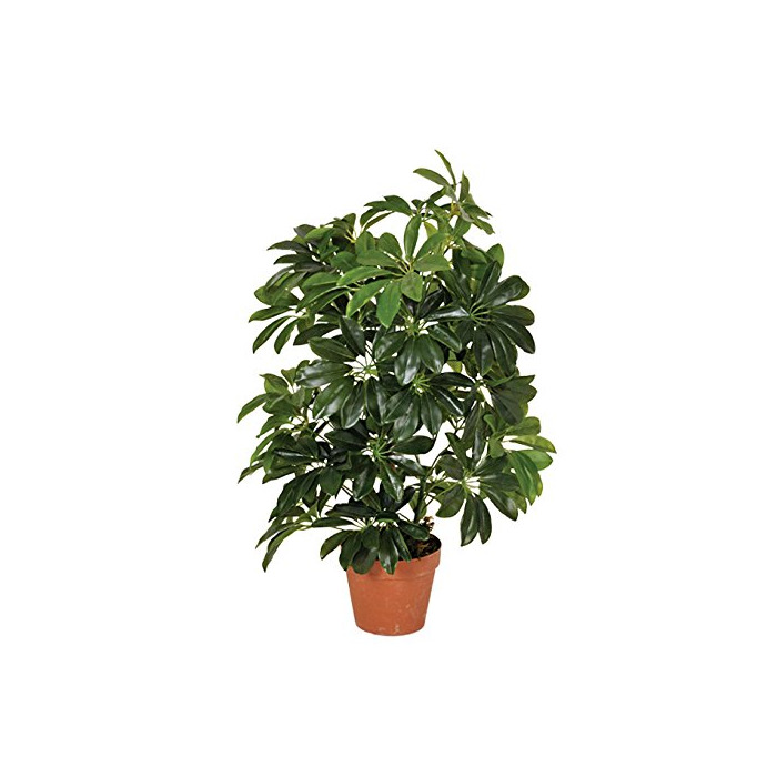 Producto Planta artificial cheflera 65 cm altura