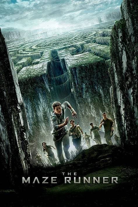 Movie Maze Runner