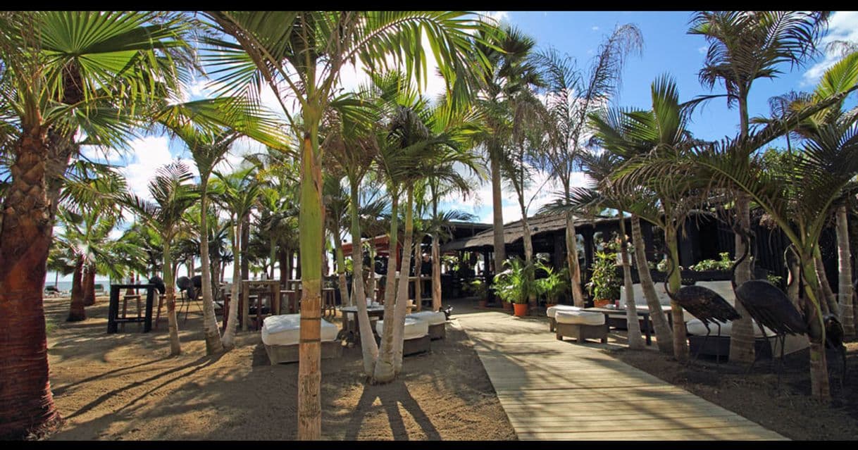 Restaurants Trocadero Playa