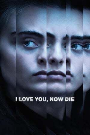 Serie I Love You, Now Die: The Commonwealth v. Michelle Carter