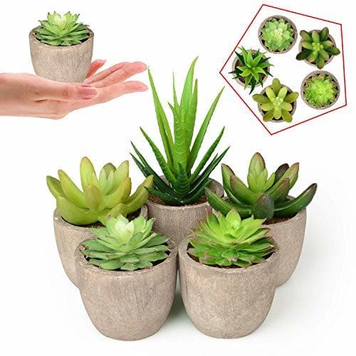 Elemento de la categoría hogar Plantas Suculentas Artificiales 5PCS Jardinera Suculenta Falso Plantas de Cactus Faux en