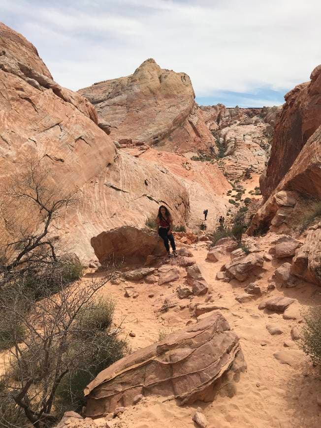 Lugar Valley of Fire