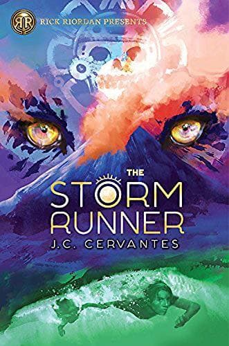 Book The Storm Runner