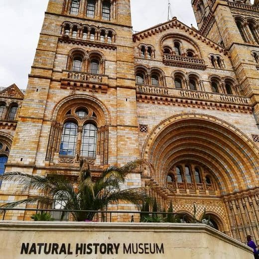 Lugar Natural History Museum