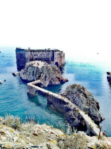 Place Berlengas