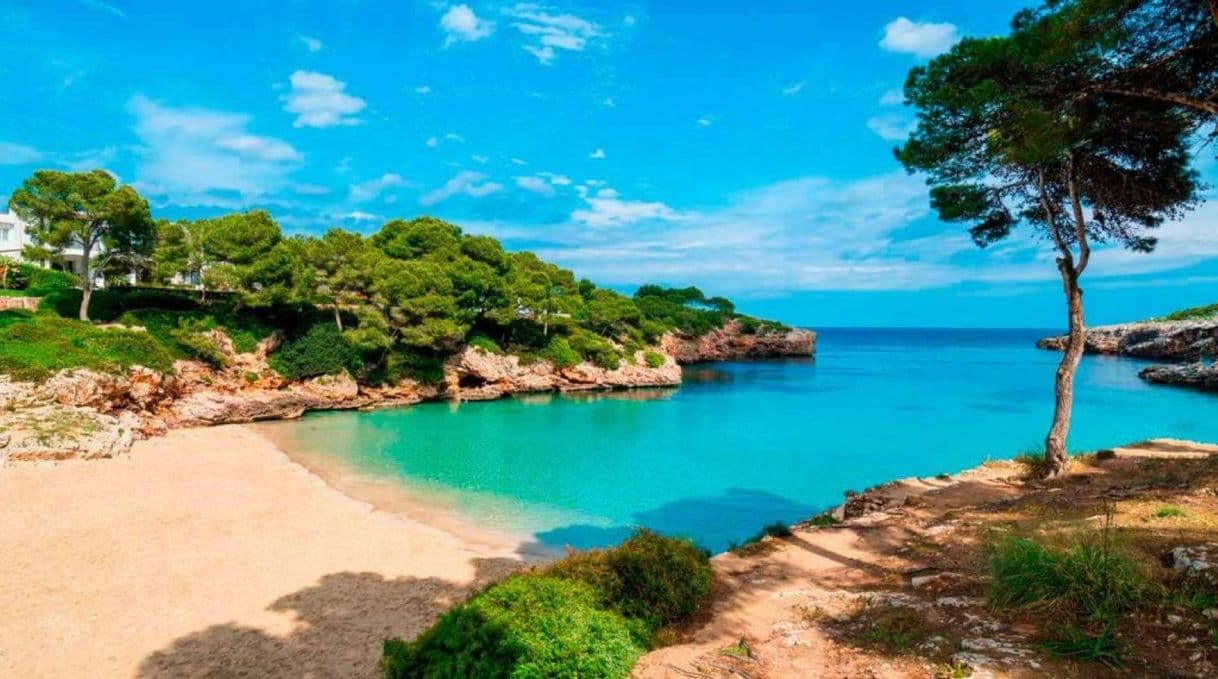 Lugar 〖 Cala Esmeralda 〗 Calas y Playas de Mallorca - Mallorqueando ...