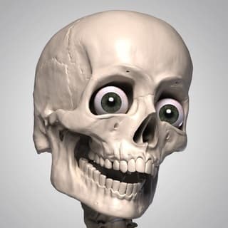 App Skelly - Poseable Anatomy Model for Artists