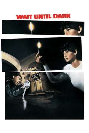 Movie Wait Until Dark