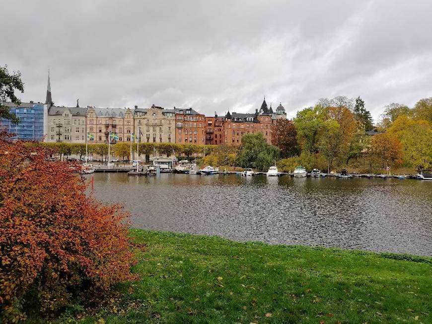 Restaurants Lusthusportens park