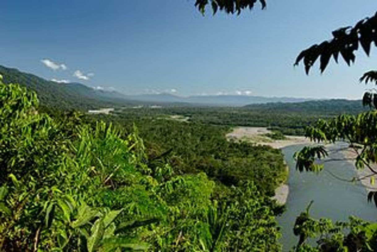 Lugar Parque Nacional del Manu