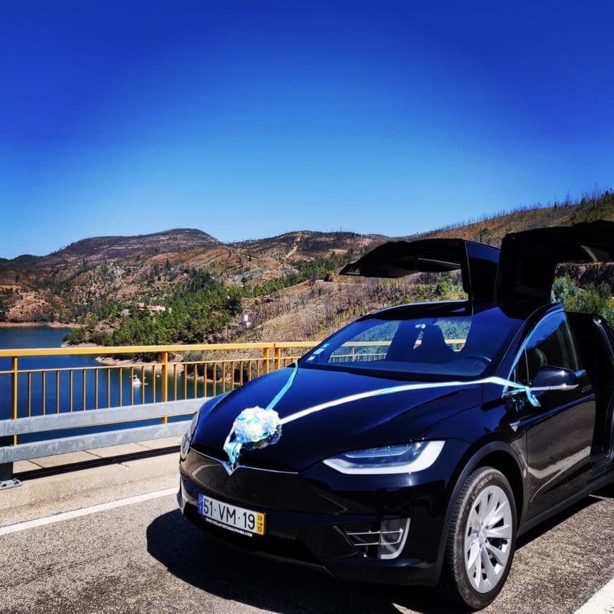 Product Tesla Model X