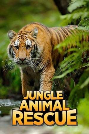 Serie Jungle Animal Rescue