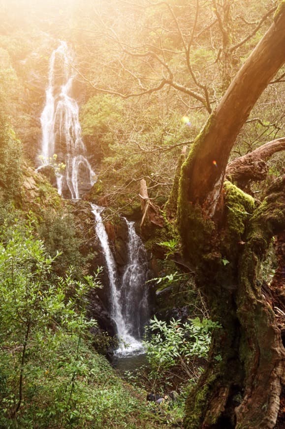 Place Cascata do Candal