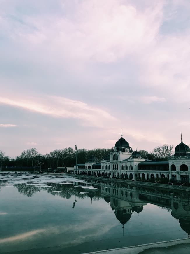 Moda Varosligeti Ice Skating Rink (Budapest) - 2019 Qué saber antes de ir ...