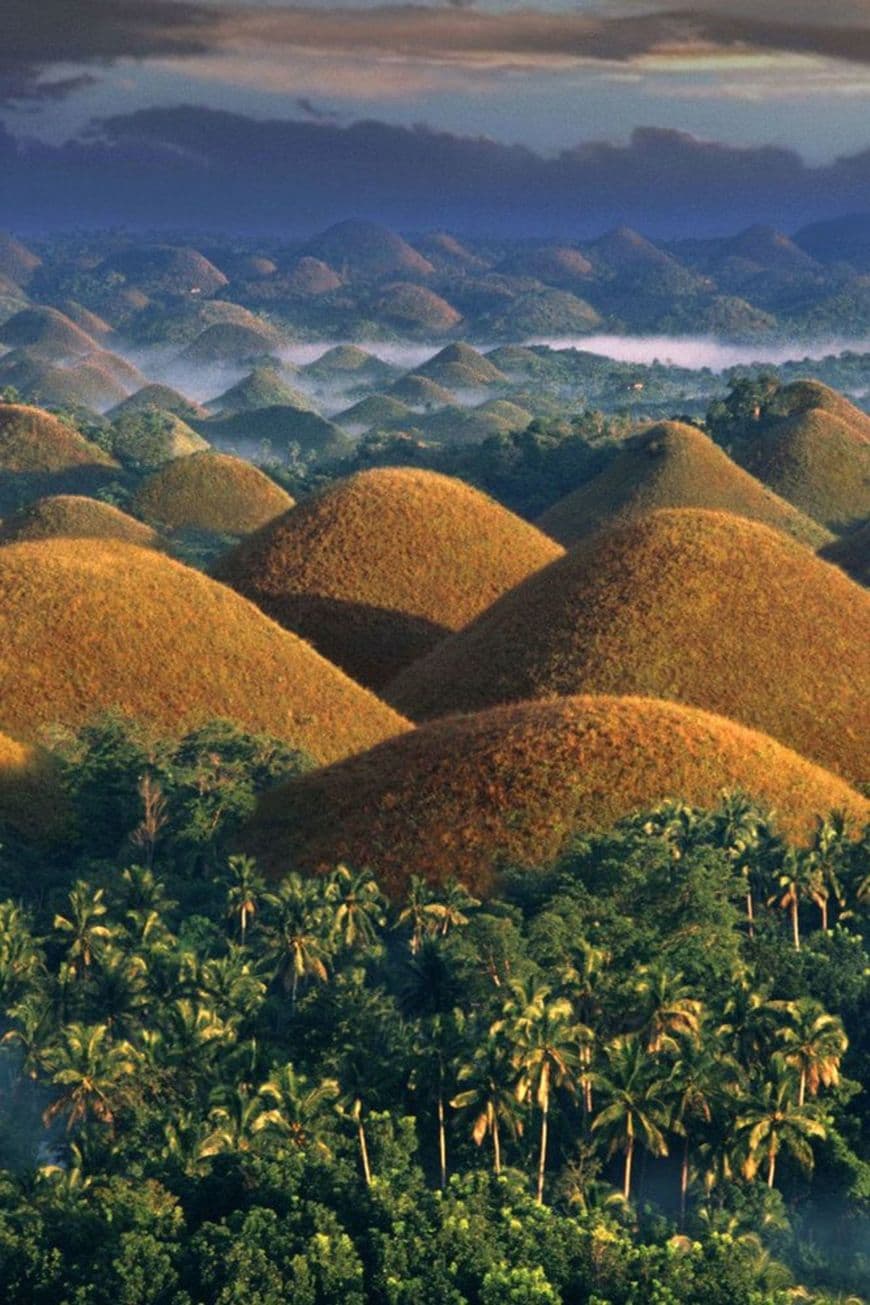 Place Chocolate Hills