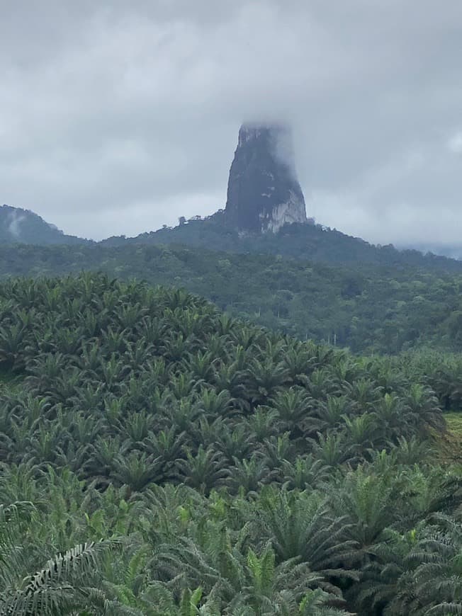 Place Pico Cão Grande