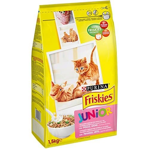 Place Friskies - Gato Junior con Pollo