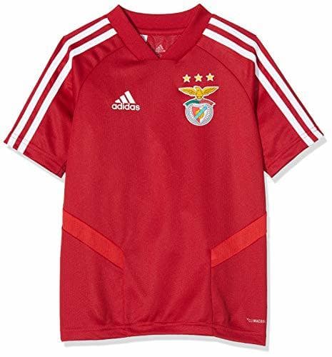 Fitness adidas - SL Benfica -  T-Shirt Power Red TRG JSY Y