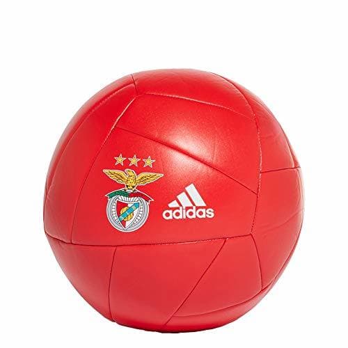 Fitness SL Benfica Bola Benfica 19/20