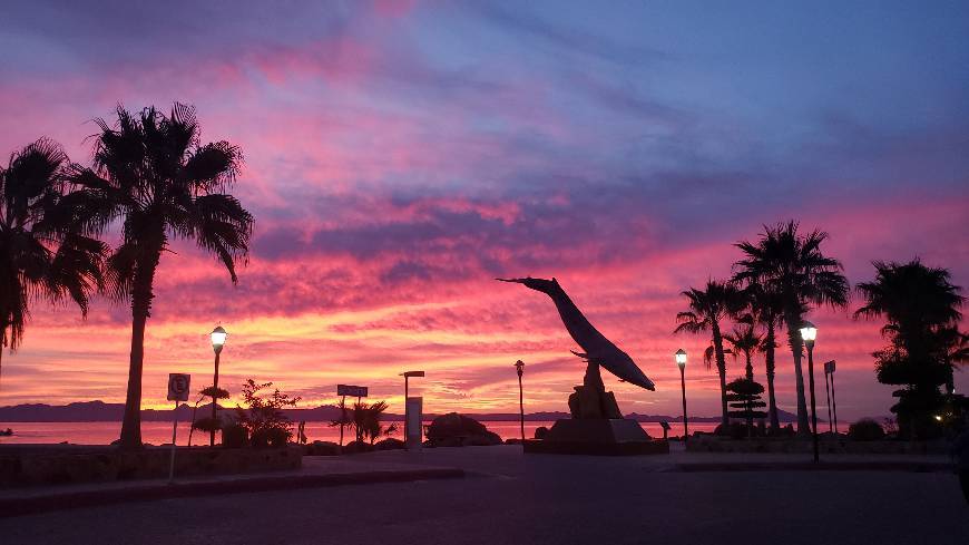 Place Malecón, Loreto