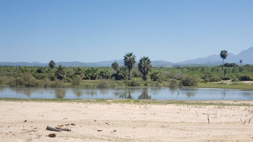 Place Todos Santos