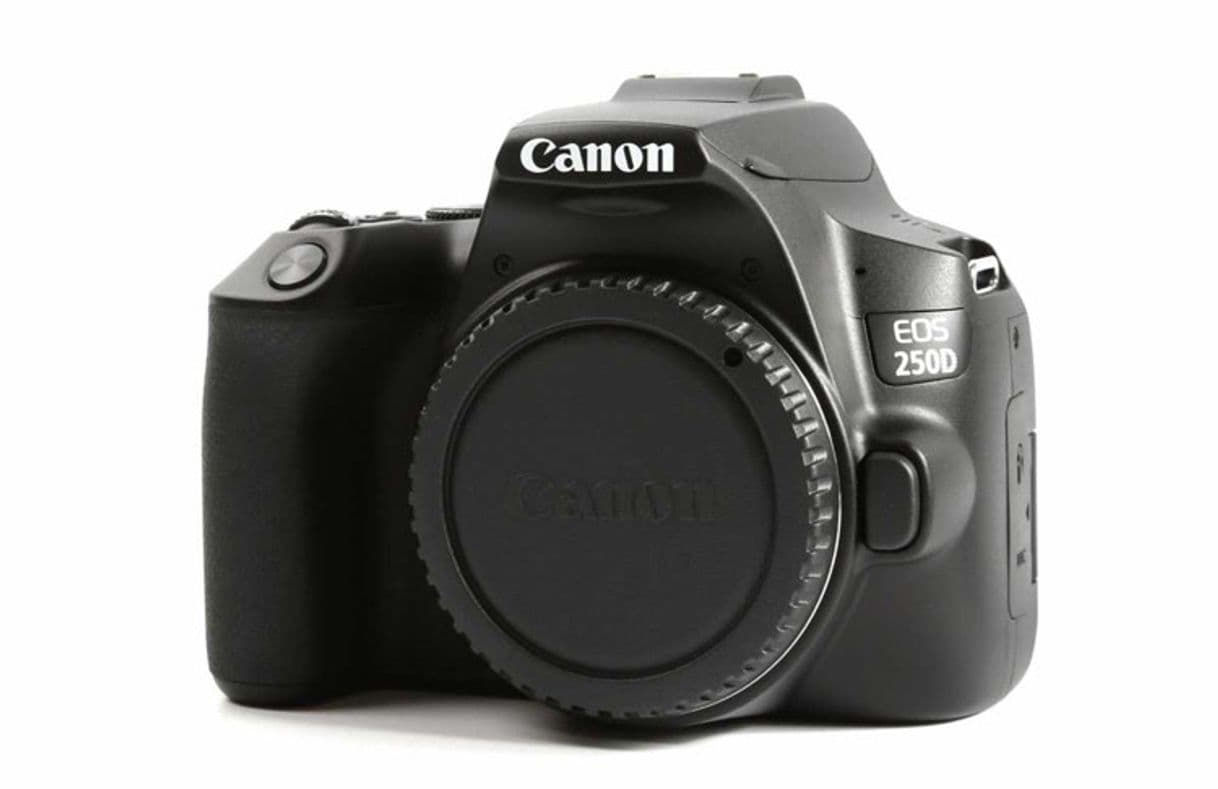 Product CANON
EOS 250D Digital SLR Camera