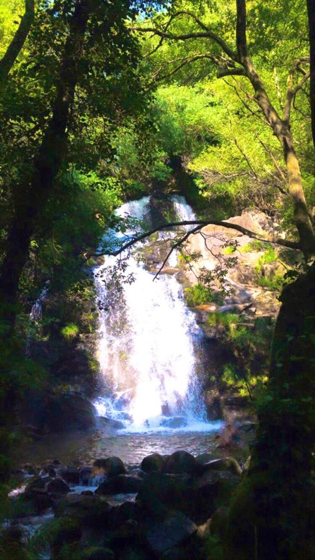 Lugar Cascata da Cabreia