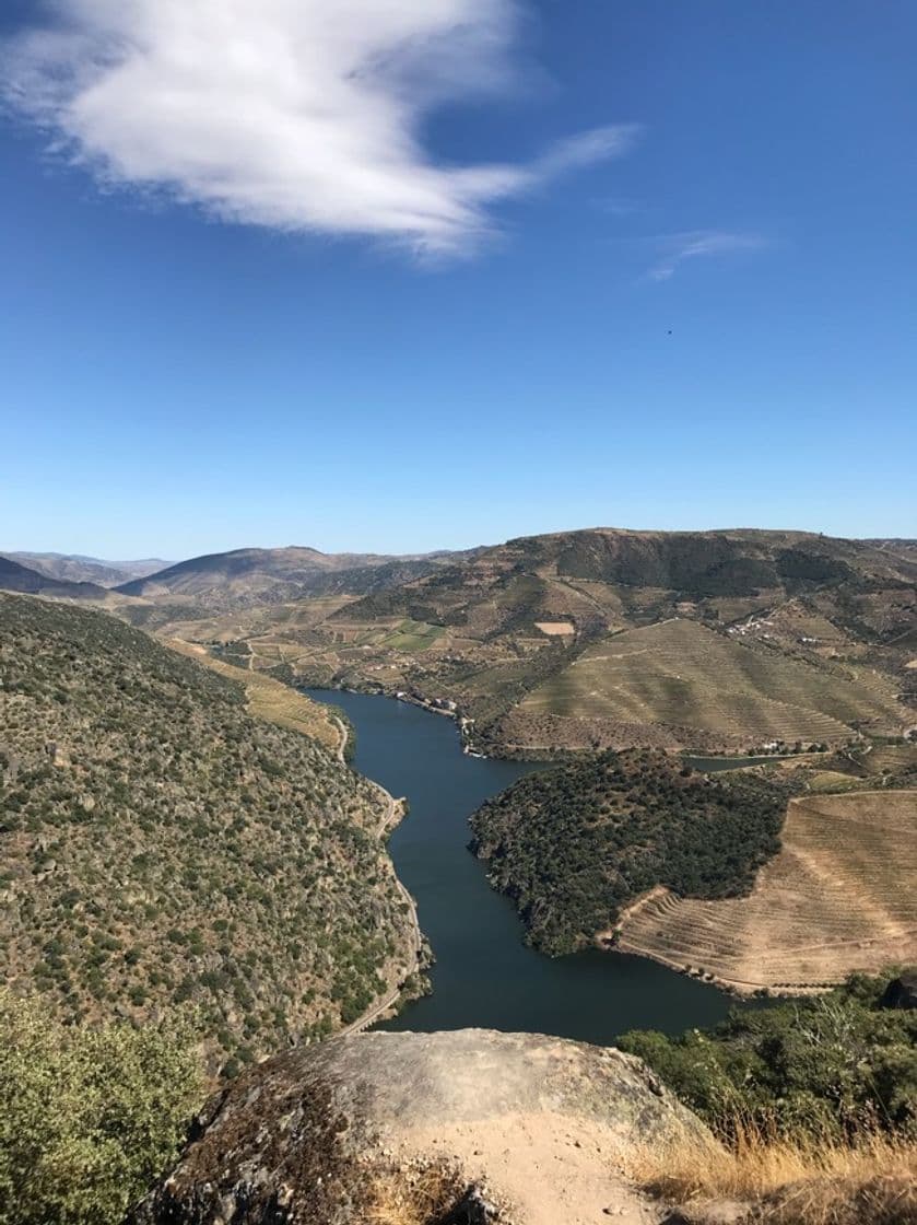 Lugar Miradouro de São Salvador do Mundo