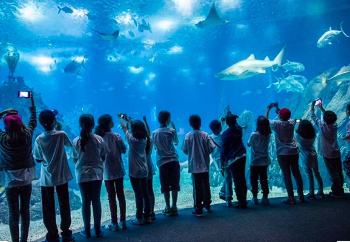 Place Oceanario de Lisboa