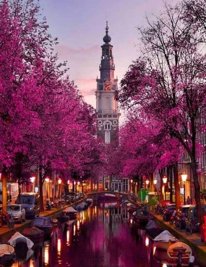 Lugar Amsterdam