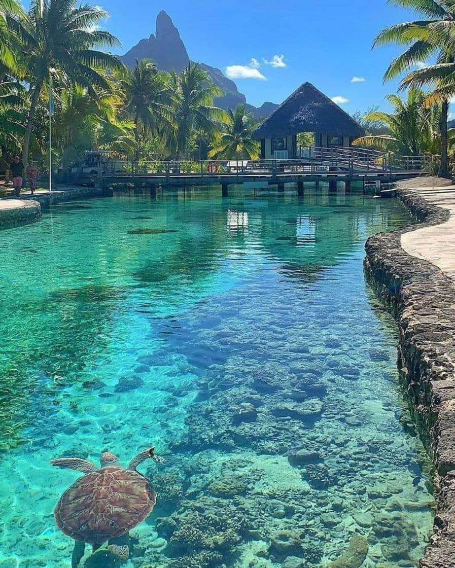 Lugar Bora-Bora