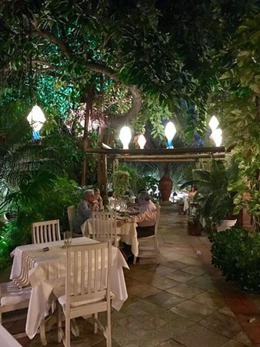 Restaurants Jardim do Alchymist | em Fortaleza