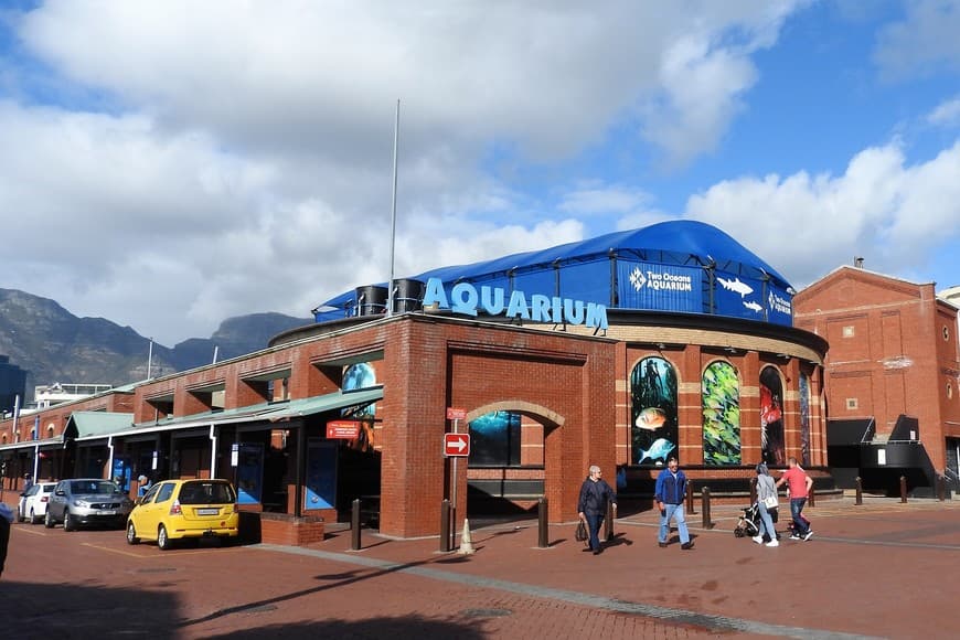 Lugar Two Oceans Aquarium