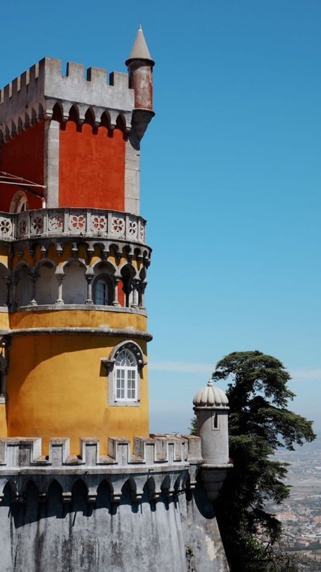 Lugar Palacio da Pena