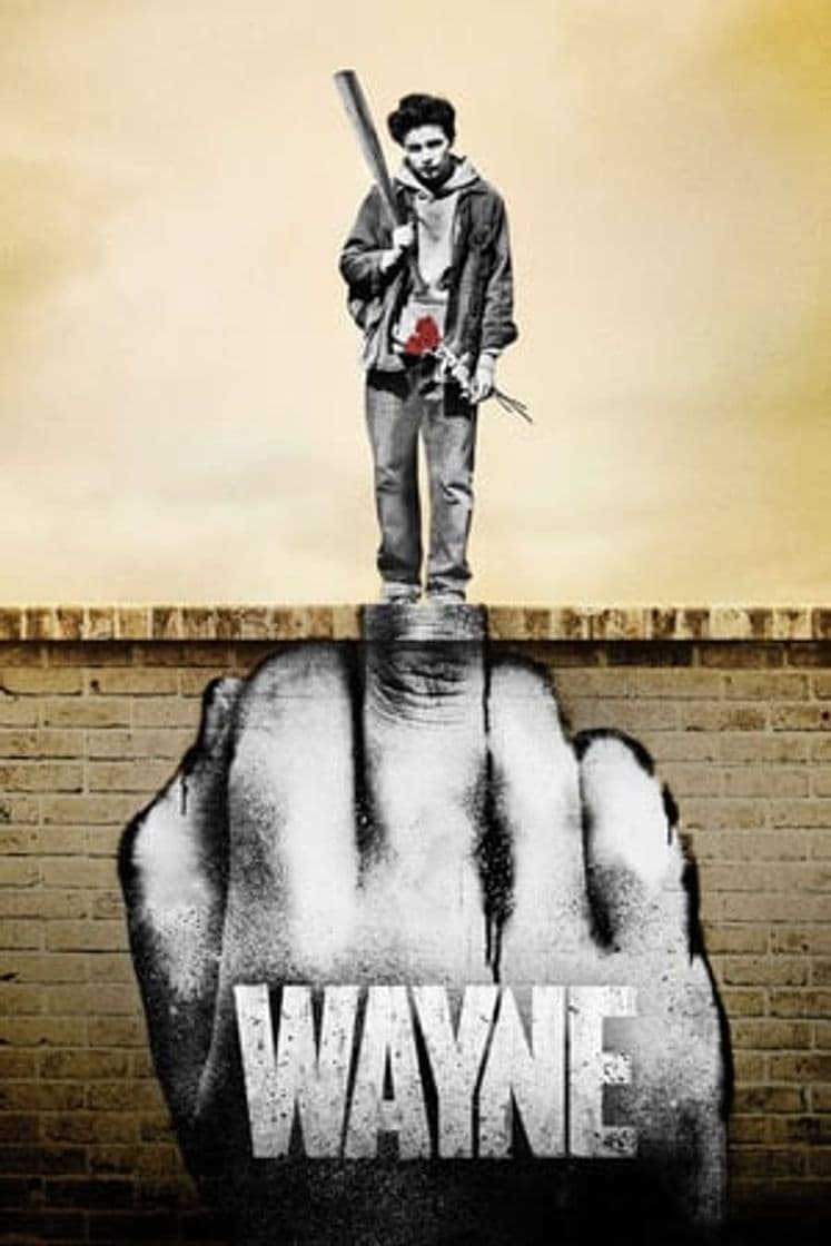 Serie Wayne