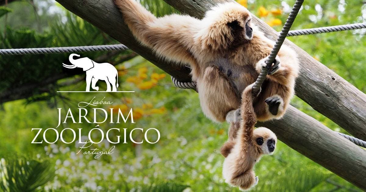 Lugar Jardim Zoológico de Lisboa